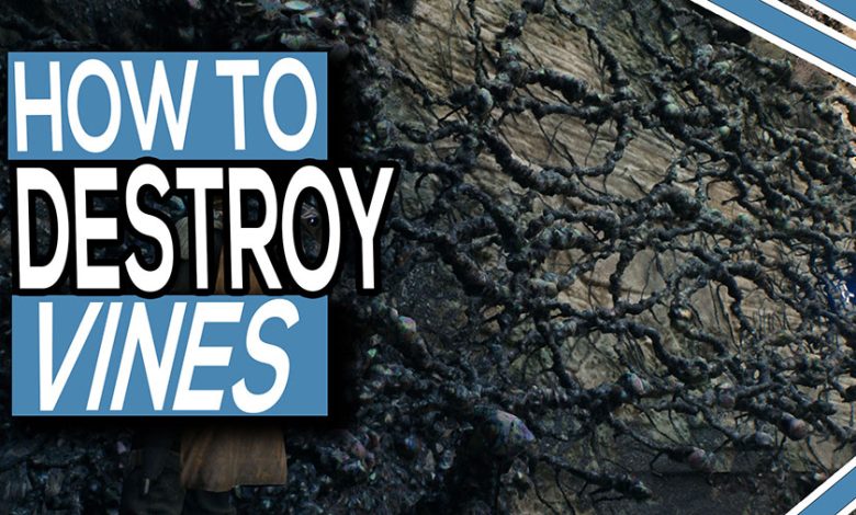 How To Destroy Black Vine Crystals In Star Wars Jedi Survivor