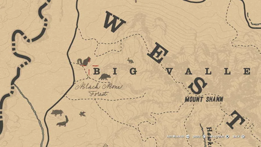 Red Dead Online Blackbone Forest Treasure 4