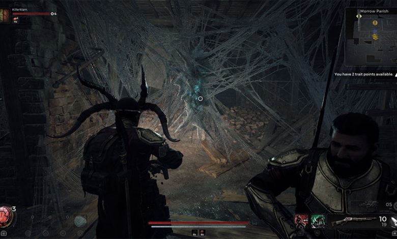 What To Give The Strange Web In The Asylum In Remnant 2